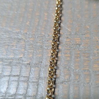 RVS Jasseron gold plated 3mm