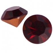 Puntsteen SS39 garnet