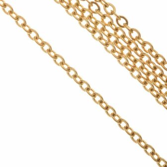 RVS Jasseron goud 2,5x2x0,5mm